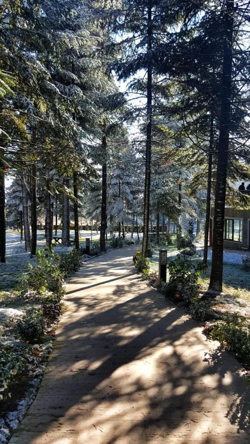 Bolu Koru Hotels Spa & Convention Yolcatı Esterno foto